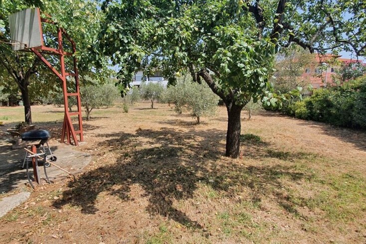 Realty photo 1
