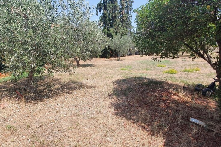 Realty photo 2