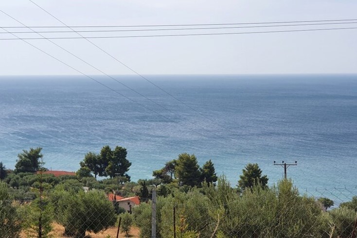 Realty photo 3
