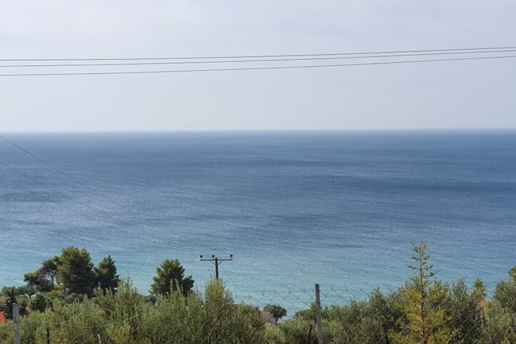 Realty photo 1