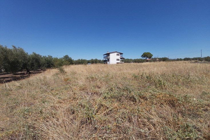 Realty photo 2