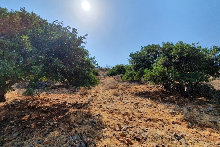 Realty photo 2