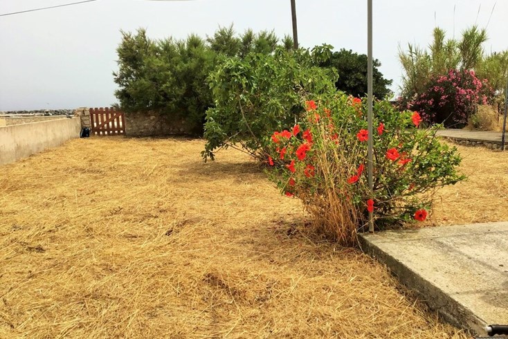 Realty photo 2