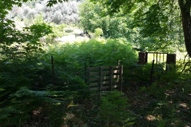 Realty photo 1
