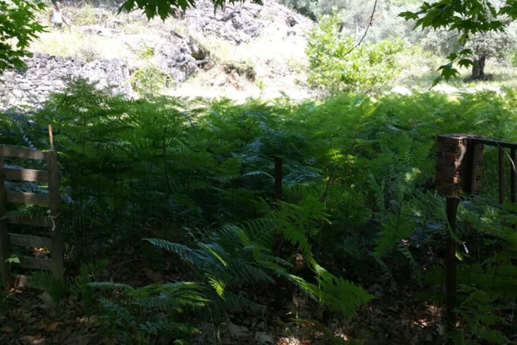Realty photo 3