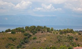 Zemljište 6000 m² na Istočnom Peloponezu