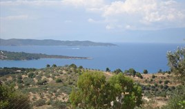 Land 4000 m² in Eastern Peloponnese - Ermionida