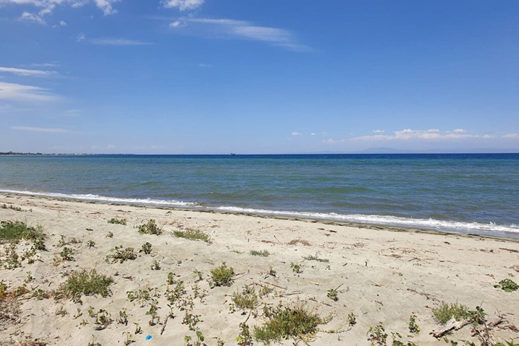 Realty photo 2