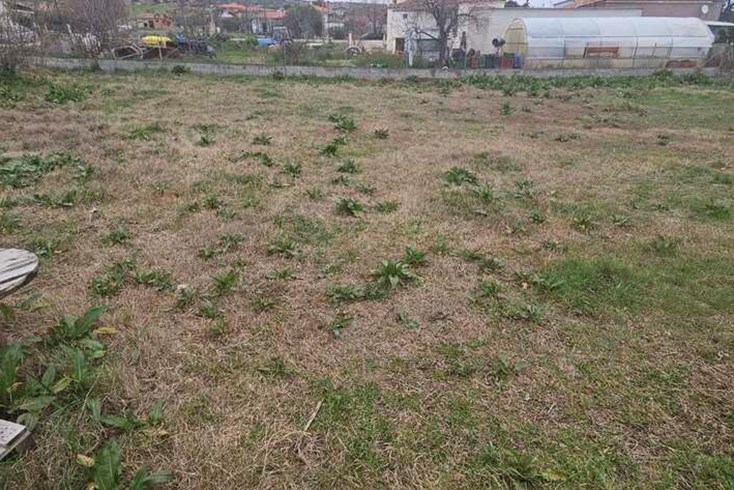 Realty photo 2