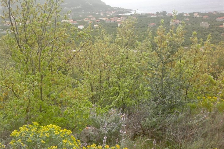 Realty photo 2