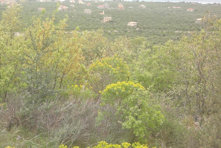 Realty photo 1