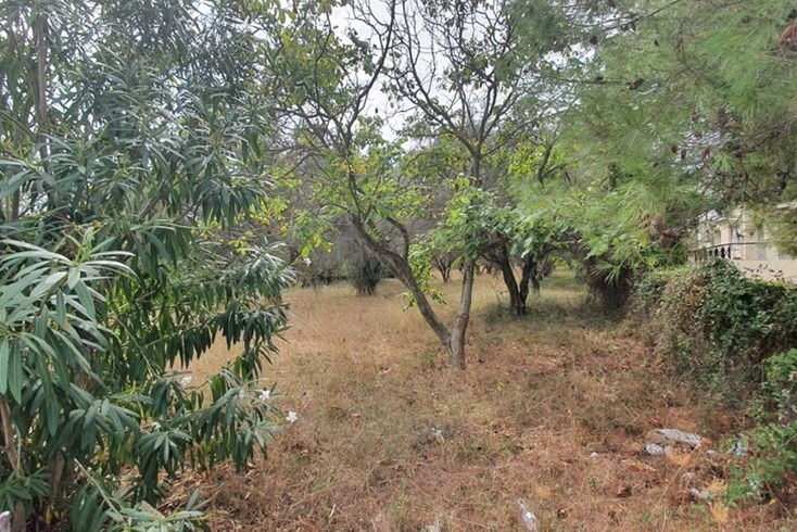 Realty photo 2