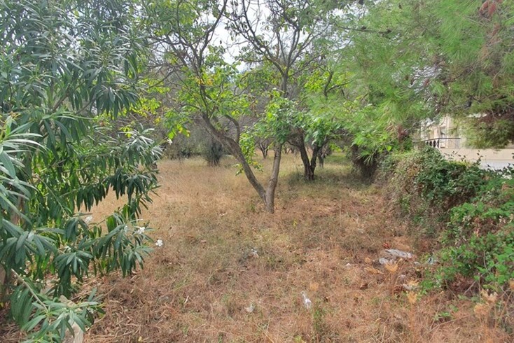 Realty photo 1