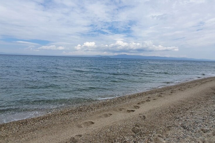 Realty photo 2