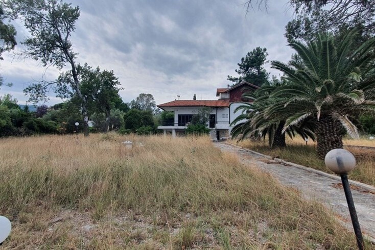 Realty photo 3