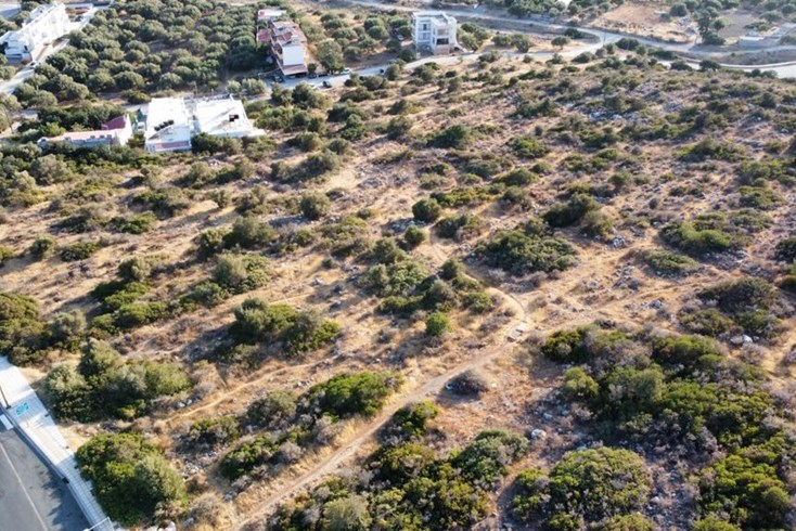 Realty photo 2