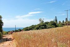 Property 4878 photo 2