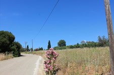 Property 4878 photo 4