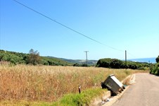 Property 4878 photo 1