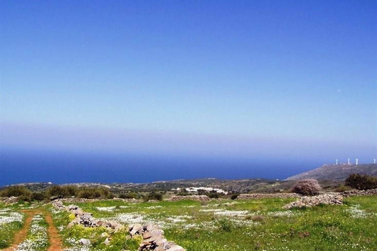 Realty photo 1