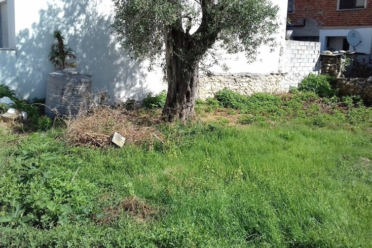 Realty photo 1
