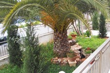 Property 489 photo 11