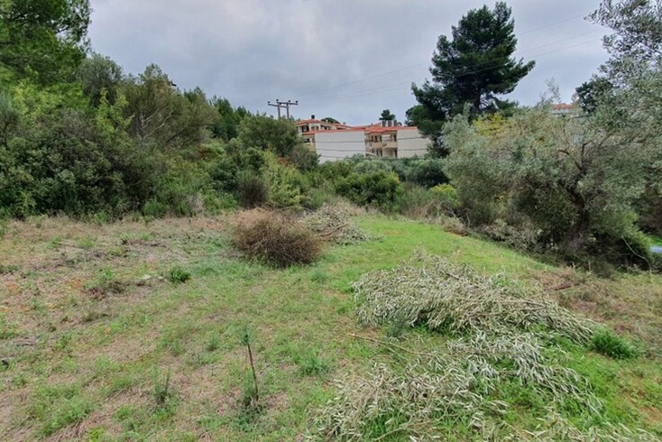 Realty photo 2
