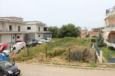 Property 4906 photo 1