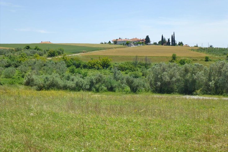 Realty photo 2
