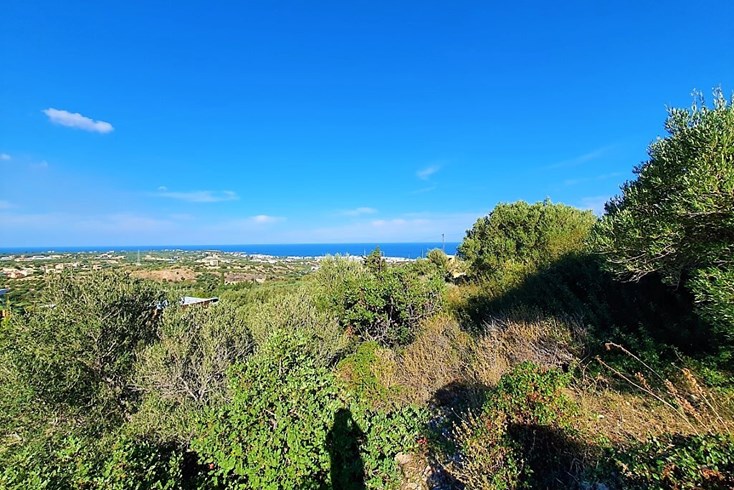 Realty photo 2