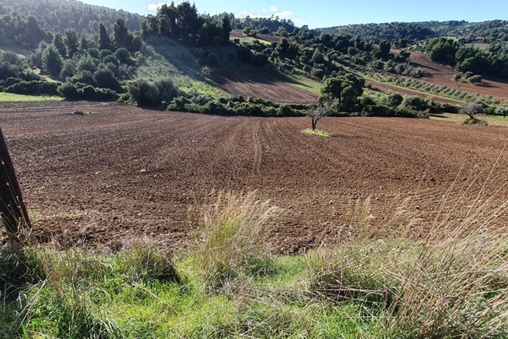 Realty photo 3