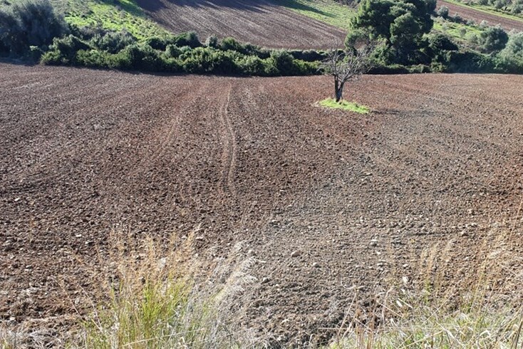 Realty photo 2