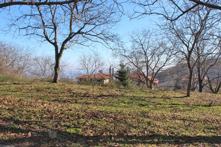 Realty photo 3