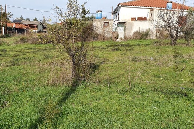 Realty photo 3