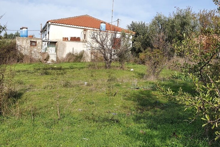 Realty photo 1