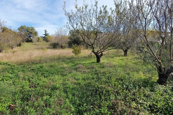 Realty photo 3