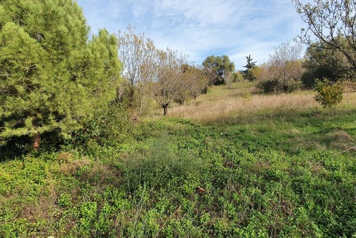 Realty photo 2
