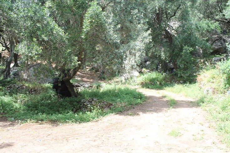 Realty photo 3