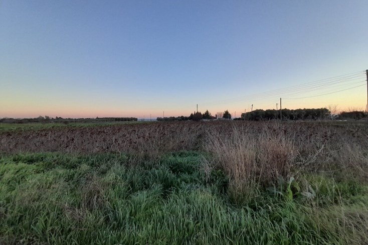 Realty photo 2