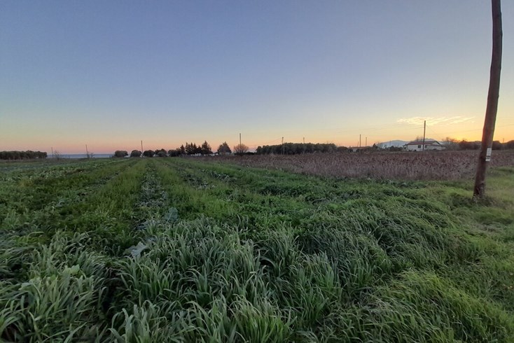 Realty photo 3