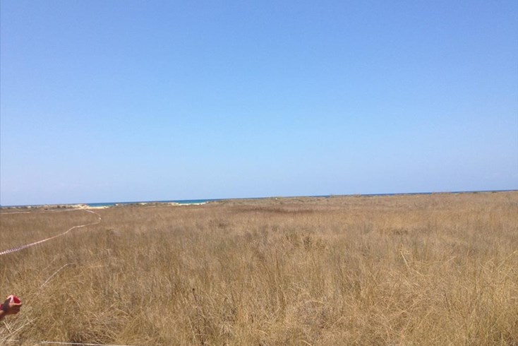 Realty photo 1