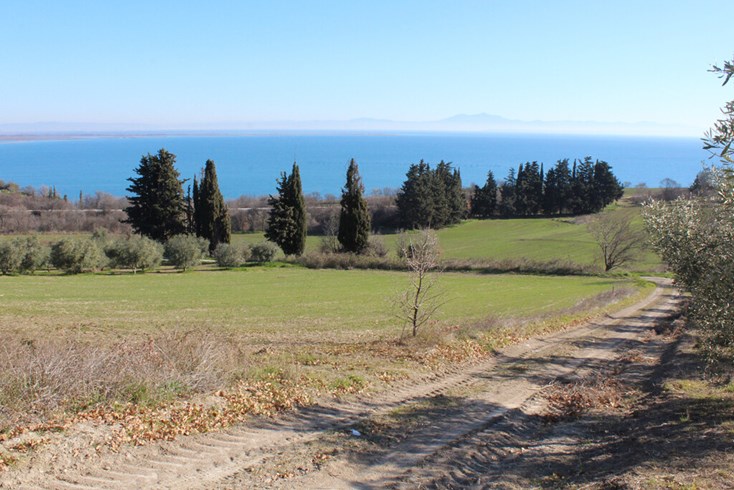 Realty photo 3