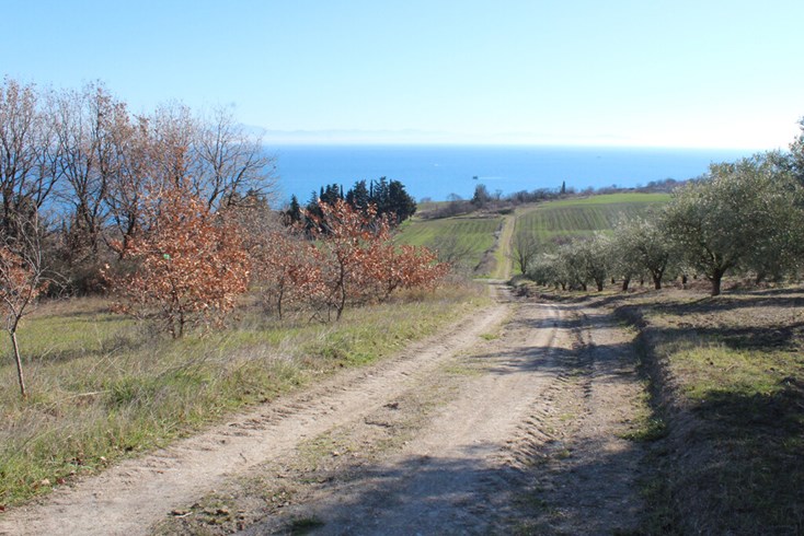 Realty photo 1