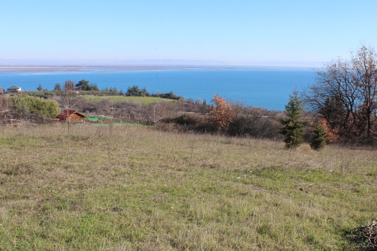 Realty photo 1