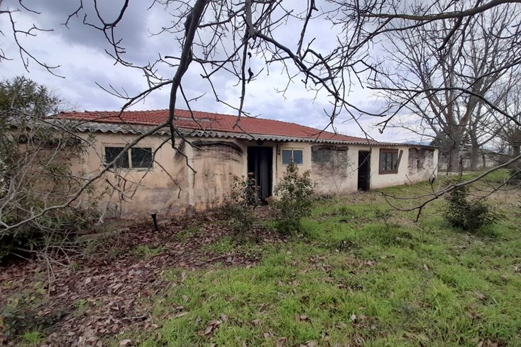 Realty photo 1
