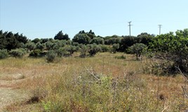Land 4075 m² auf Rhodos