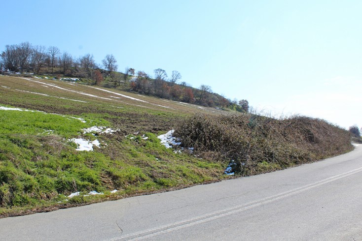 Realty photo 1
