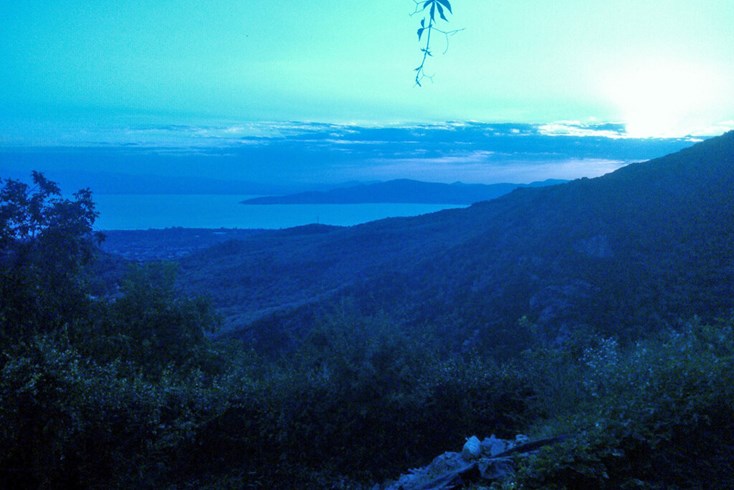 Realty photo 3