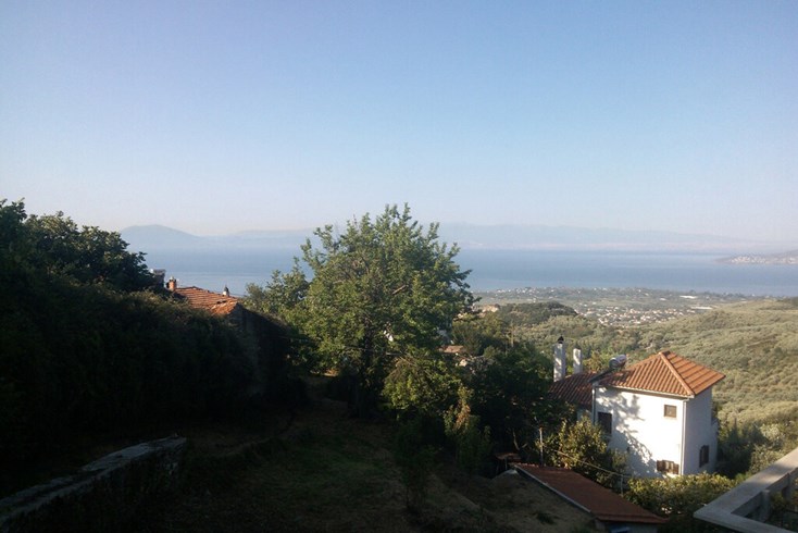 Realty photo 1