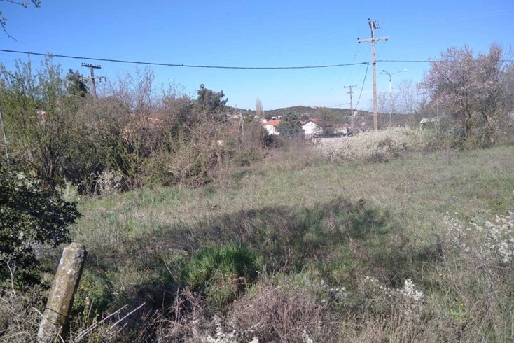 Realty photo 2